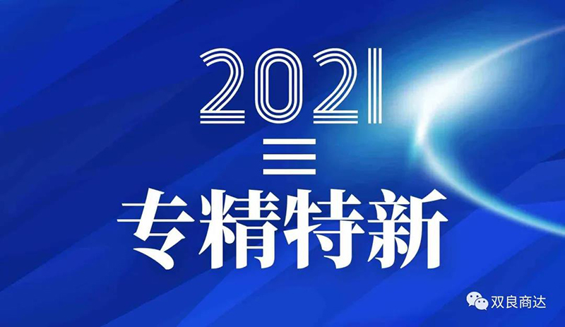 雙良商達入選浙江省“專精特新”企業名單