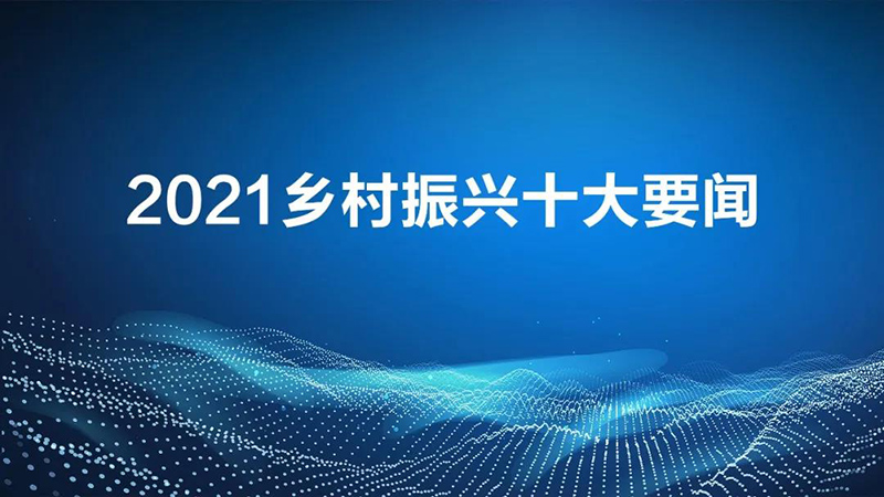 回顧 | 2021年度鄉村振興的10個要聞