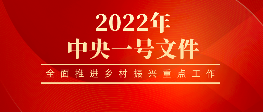 國新辦發布會解讀中央一號文件：鄉村振興求好不求快