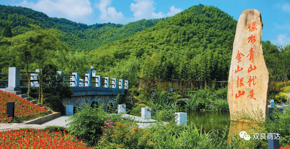 臥虎藏龍取景地，安吉大竹海！商達五鶴村農村污水示范站點投入試運行