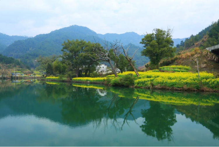 我國農村生活污水治理政策法律體系發展現狀與建議