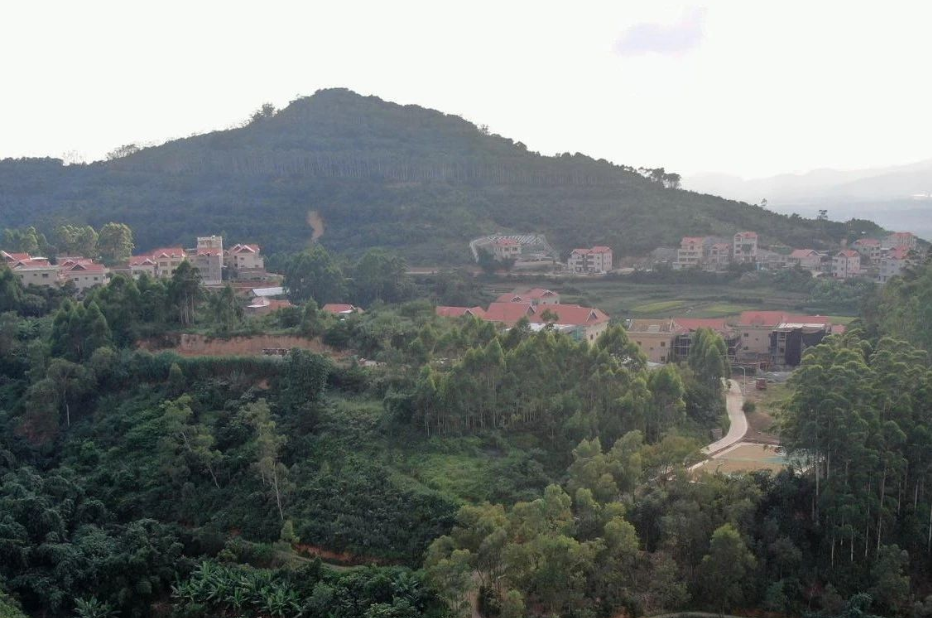 福建廈門：鼓勵打造綠色生態(tài)宜居的美麗鄉(xiāng)村